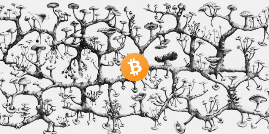 mushrooms btc